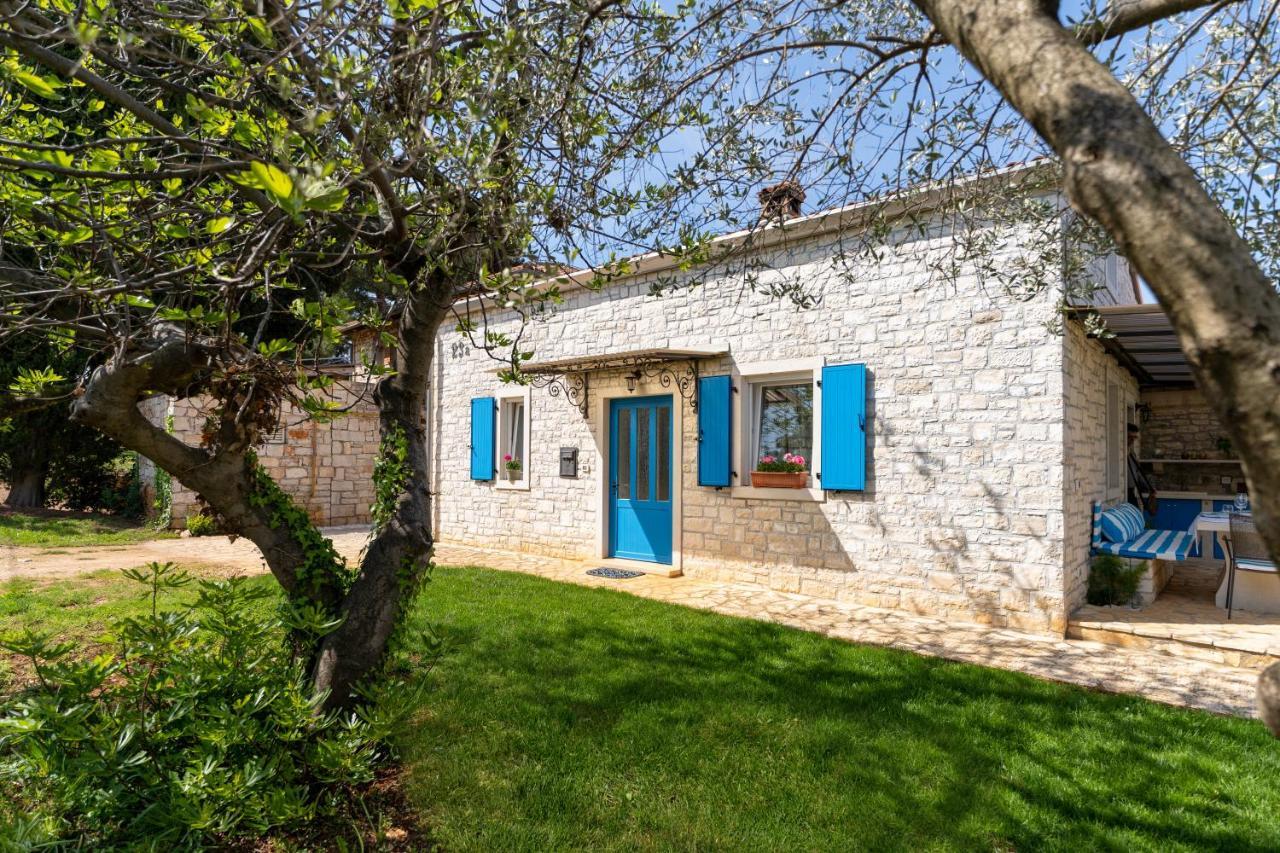 Villa Daulos Novigrad  Zewnętrze zdjęcie