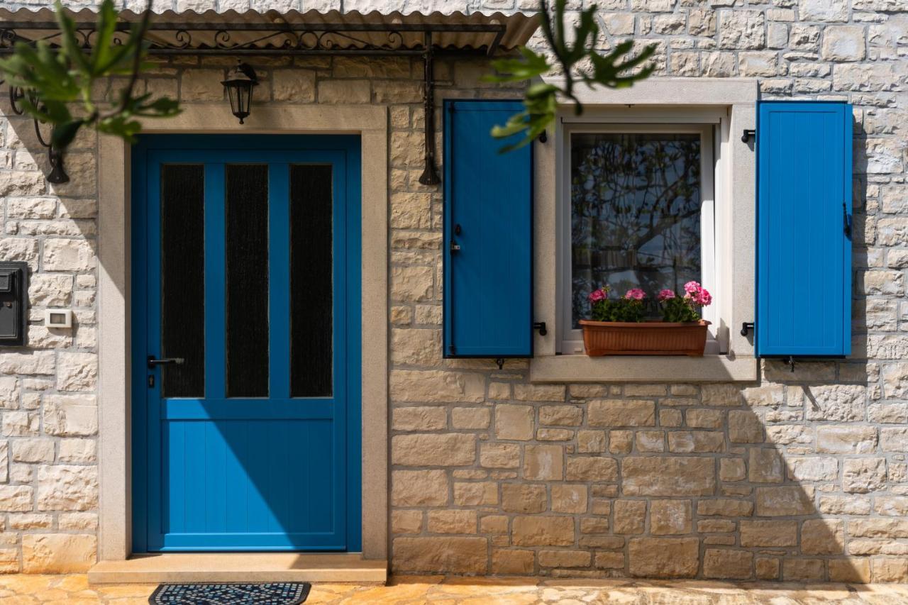 Villa Daulos Novigrad  Zewnętrze zdjęcie