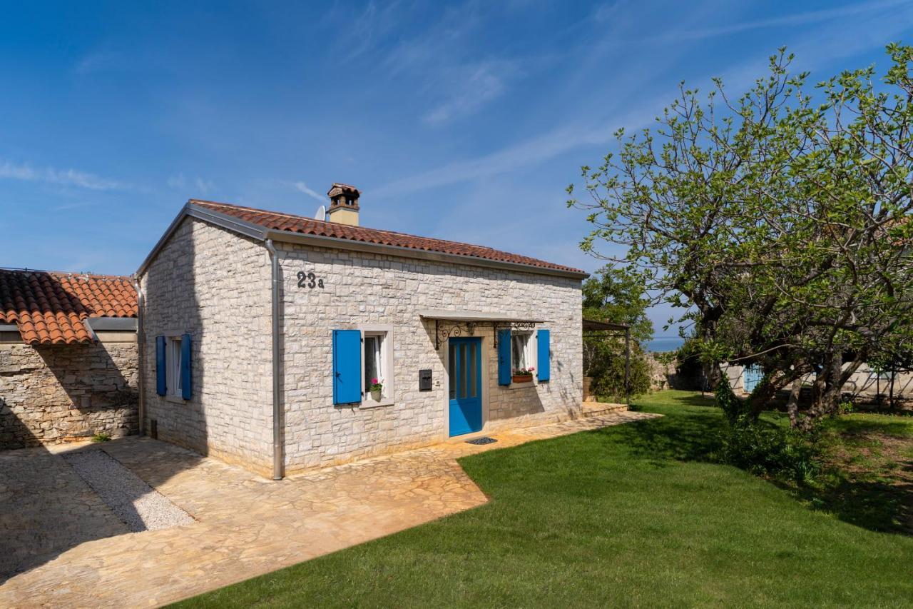 Villa Daulos Novigrad  Zewnętrze zdjęcie