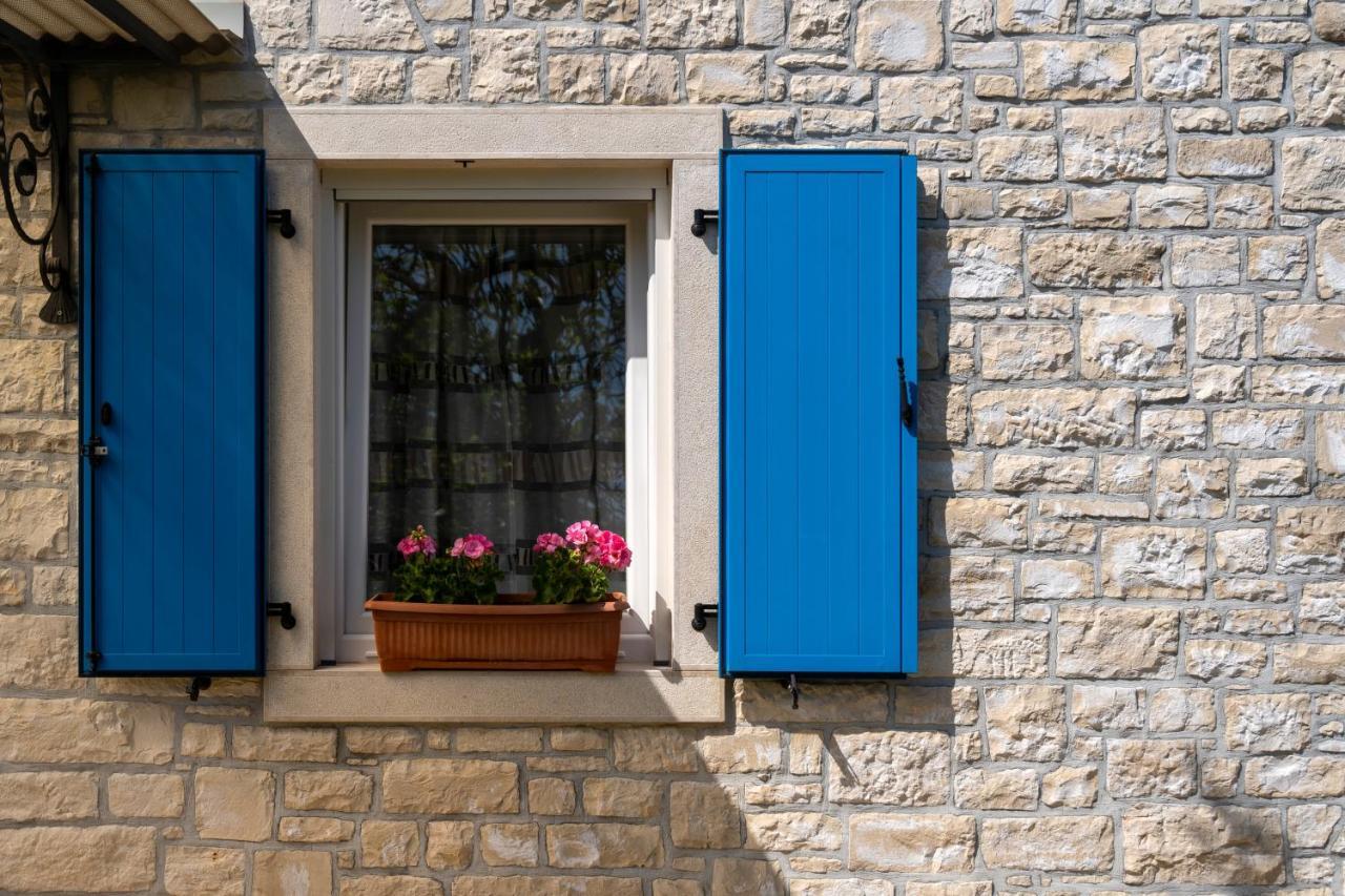 Villa Daulos Novigrad  Zewnętrze zdjęcie