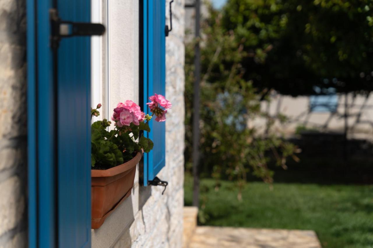 Villa Daulos Novigrad  Zewnętrze zdjęcie