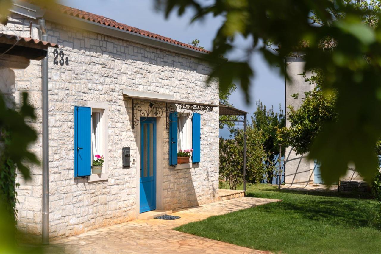 Villa Daulos Novigrad  Zewnętrze zdjęcie