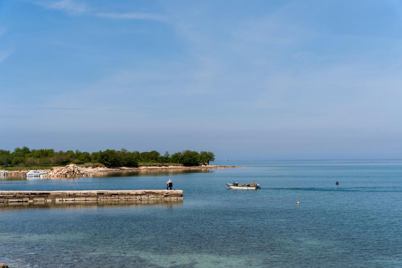 Villa Daulos Novigrad  Zewnętrze zdjęcie