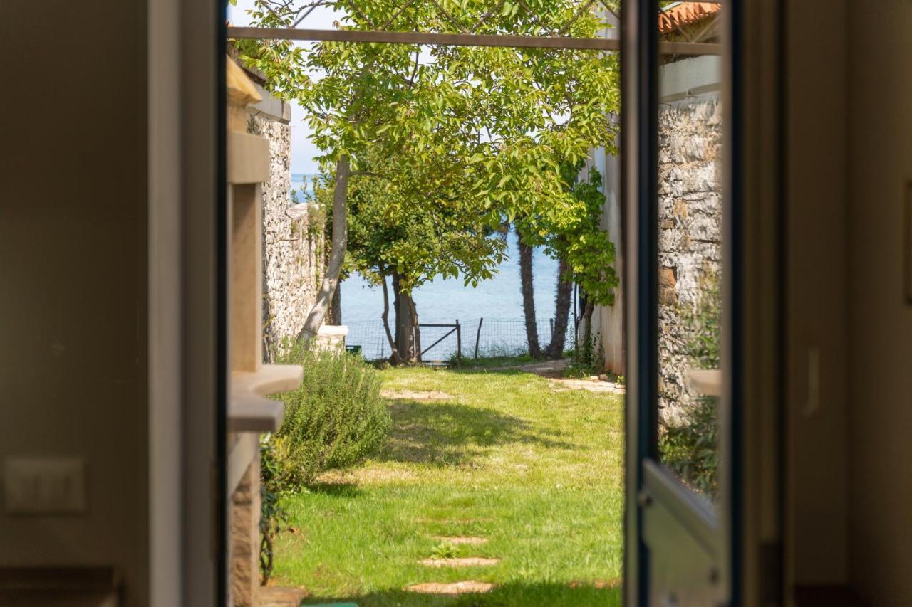 Villa Daulos Novigrad  Zewnętrze zdjęcie