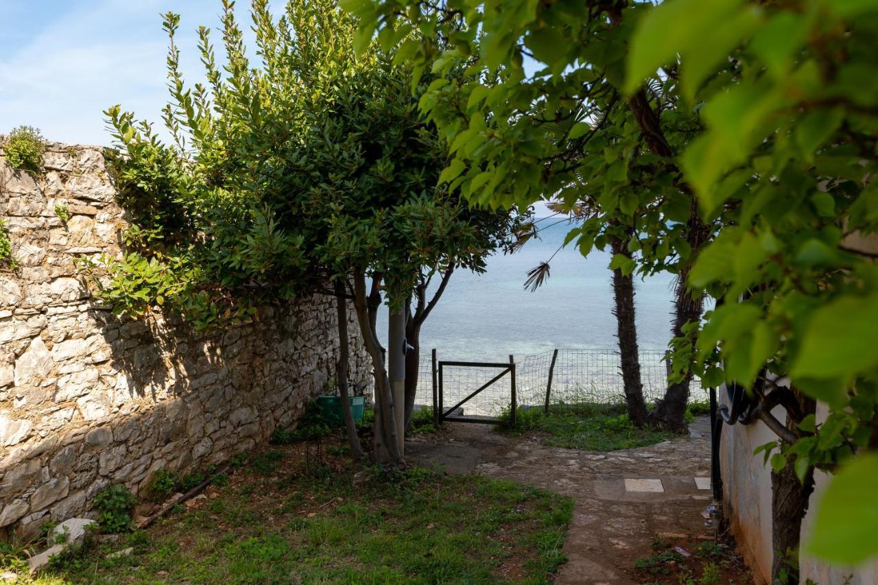 Villa Daulos Novigrad  Zewnętrze zdjęcie