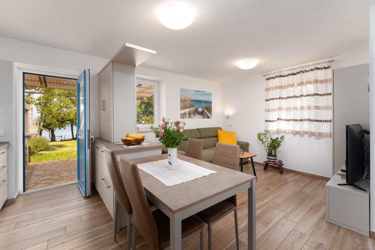 Villa Daulos Novigrad  Zewnętrze zdjęcie
